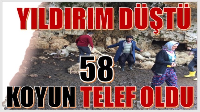 Anamur’da Yıldırım Düştü; 58 Koyun Telef Oldu