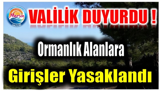 Valilik Duyurdu ! Ormanlara Girişler Yasaklandı