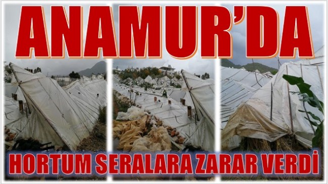 ANAMUR’DA HORTUM, SERALARA ZARAR VERDİ