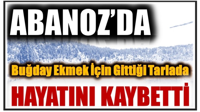 Abanoz’da Tarlada Çalışırken Hayatını Kaybetti