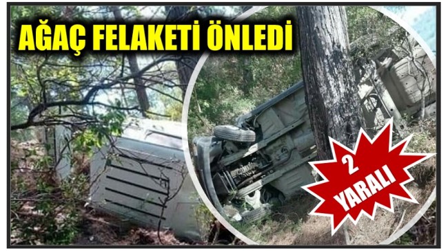 ÇAM AĞACI FELAKETİ ÖNLEDİ ; 2 Yaralı