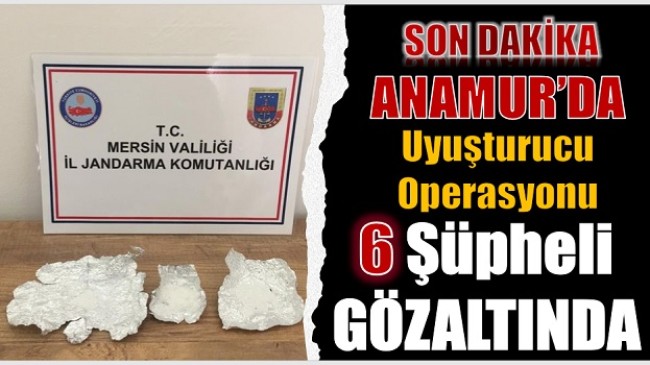 Uyuşturucu Madde Kullanan Şahıslar, Jandarma Ekipleri Tarafından Yakalandı