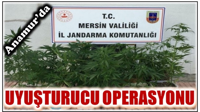 Anamur’da Uyuşturucu Operasyonu