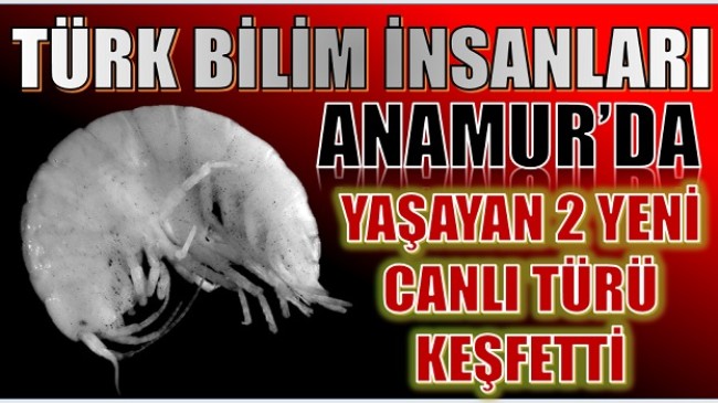 TÜRK Bilim İnsanları Anamur’da Yaşayan İki Yeni Böcek Türü Keşfetti