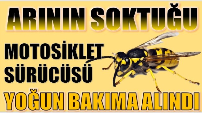 ARININ SOKTUĞU MOTOSİKLET SÜRÜCÜSÜ KOMAYA GİRDİ