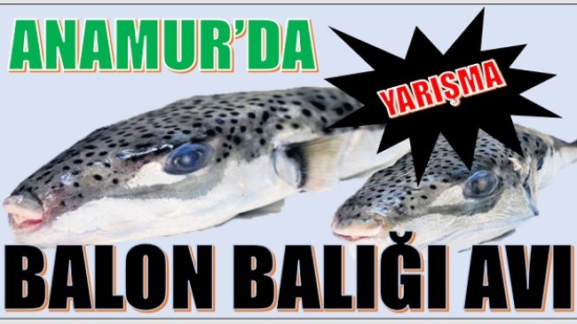 BALIKÇILAR BALON BALIĞI  İÇİN “RASTGELE ” DİYECEKLER