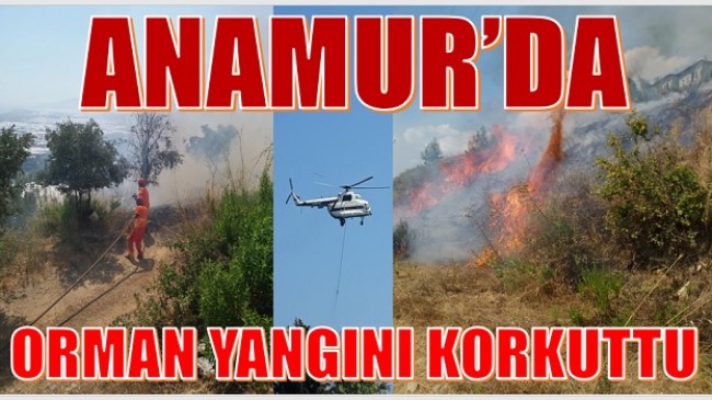 Anamur’da Yangın Panik Yarattı