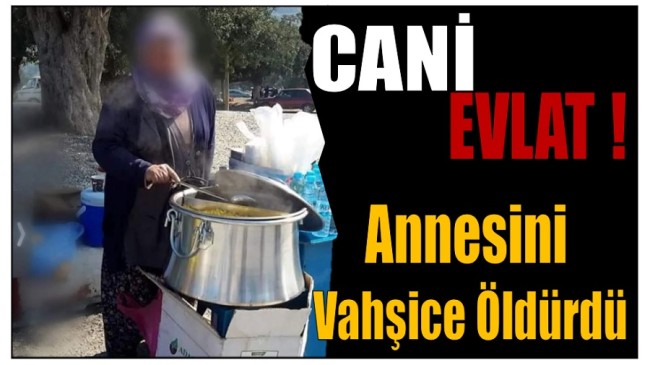 Cani Evlat Annesini Vahşice Öldürdü