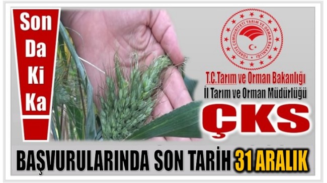 ÇKS Başvuruları 31 Aralık’ta Sona Eriyor