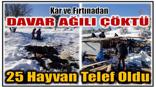 KAR ve FIRTINAYA DAYANAMAYAN AĞIL ÇÖKTÜ ; 25 Hayvan Telef Oldu