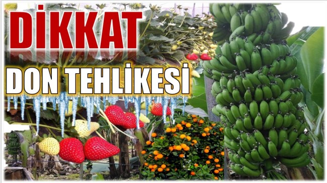 ÜRETİCİLERİMİZİN DİKKATİNE, HAFTA SONU …