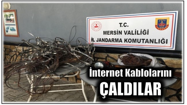 İnternet Kablolarını Çaldılar
