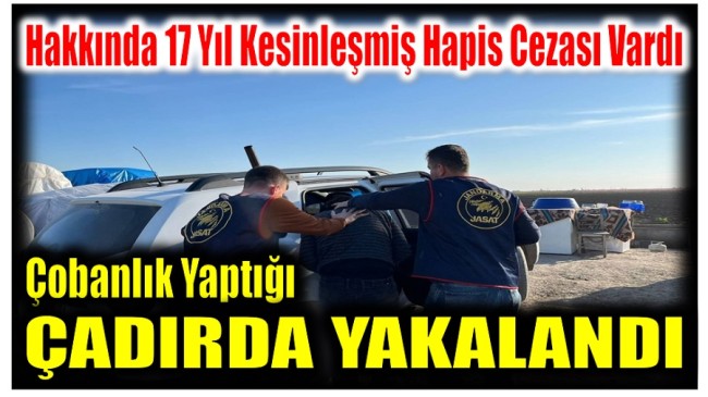 Yakalanmamak için Çobanlık Yapıyor , Çadırda Yaşıyordu !