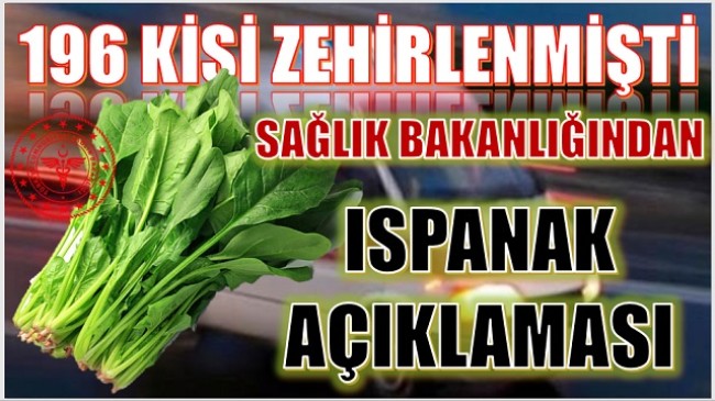 Sağlık Bakanı 196 Kişinin Zehirlendiği Ispanakla ile İlgili Açıklama Yaptı