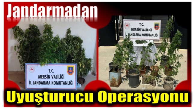 Jandarmadan Uyuşturucu Madde Operasyonu