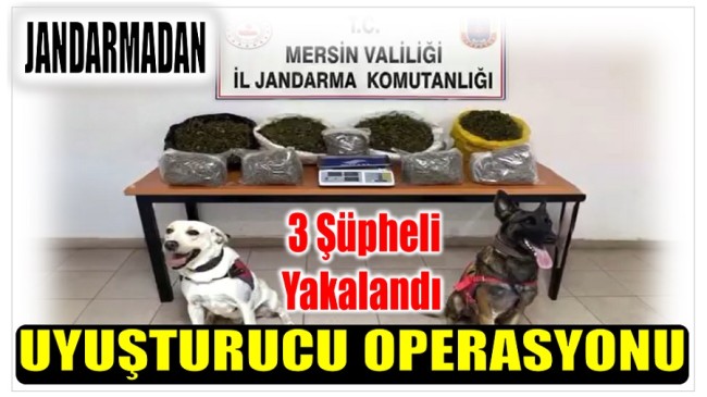 Jandarmadan  3 İlçede Uyuşturucu Operasyonu