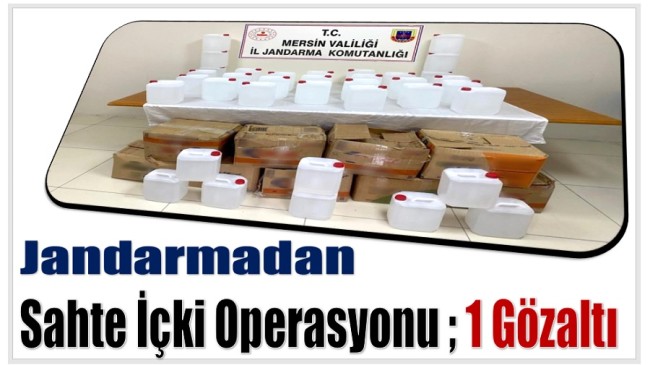 JANDARMADAN SAHTE İÇKİ OPERASYONU: 1 GÖZALTI