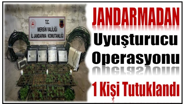 Jandarmadan Tavuk Çiftliğine Uyuşturucu Madde  Operasyonu