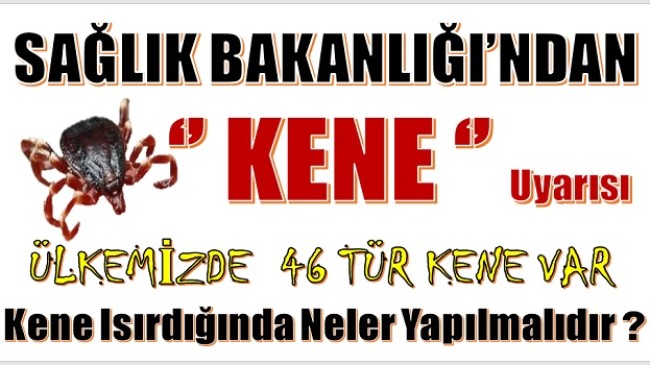 SAĞLIK BAKANLIĞINDAN ”KENE” UYARISI