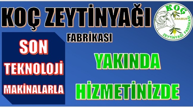 KOÇ ZEYTİNYAĞI FABRİKASI AÇILIYOR