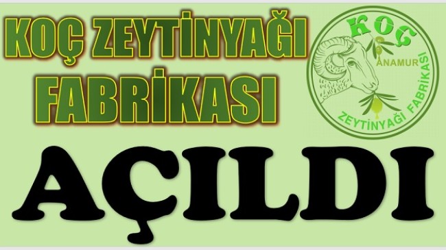 KOÇ ZEYTİNYAĞI FABRİKASI AÇILDI