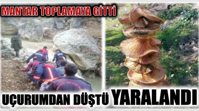 MANTAR TOPLAMAYA GİTTİ ; UÇURUMDAN DÜŞEREK YARALANDI