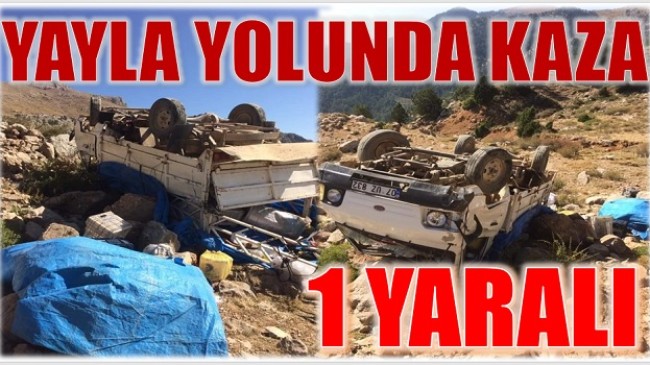 YAYLA DÖNÜŞÜ KAZA; 1 YARALI