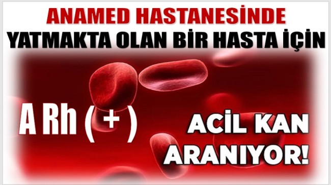 A RH ( + ) KAN ARANIYOR