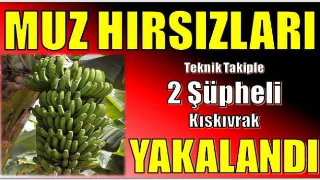 Muz Hırsızları, Teknik Takiple Yakalandı