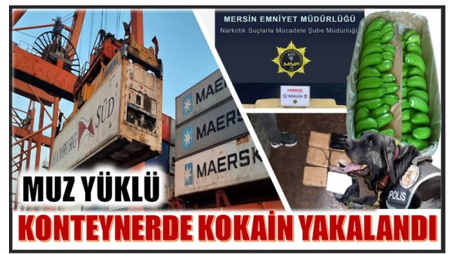 MUZ YÜKLÜ KONTEYNERDE 6.750 GRAM KOKAİN ELE GEÇİRİLDİ