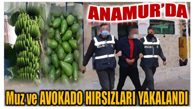 Muz ve Avokado Çalan Şahıslar Yakalandı