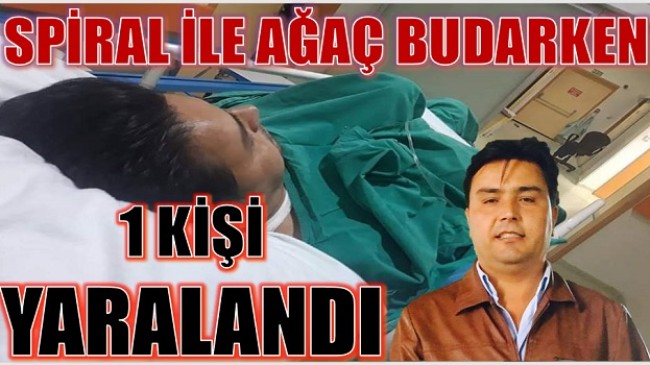 AĞAÇ BUDADIĞI MAKİNE İLE YARALANDI