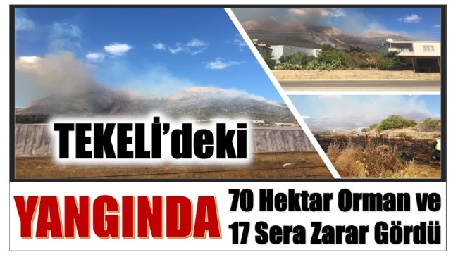 Yangında , 70 Hektar Orman ve 17 Sera Zarar Gördü