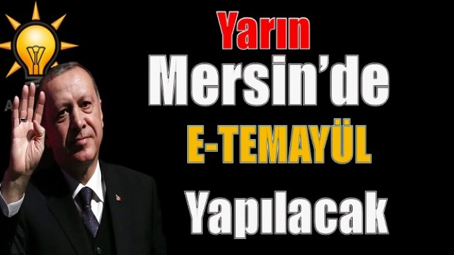 Ak Parti’de,E-Temayül Yoklaması;17 Yetişkin Ağacı Kesilmekten Kurtaracak