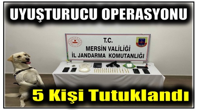 Jandarmadan Uyuşturucu Operasyonu ; 5 Kişi Tutuklandı