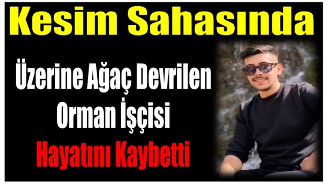 Üzerine Ağaç Devrilen Orman İşçisi Hayatını Kaybetti