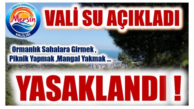 Vali SU Duyurdu ; Ormanlık Sahalara Girmek , Piknik Yapmak , Ateş Yakmak , …