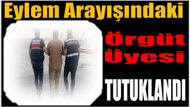 Jandarmadan; Terör Örgütü Adına Eylem Arayışındaki Örgüt Üyesine Operasyon