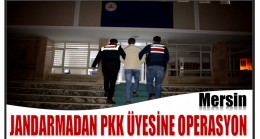 Jandarmadan PKK Üyesine Operasyon; 1 Gözaltı