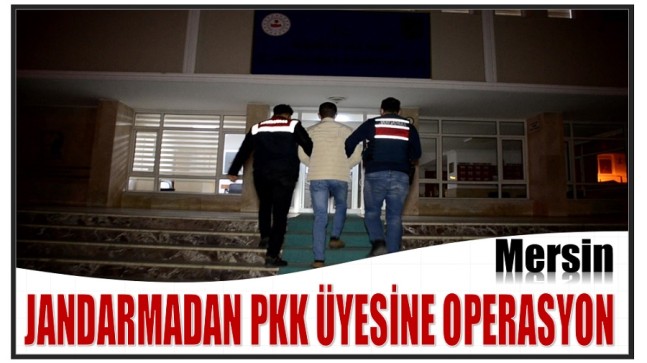 Jandarmadan PKK Üyesine Operasyon; 1 Gözaltı