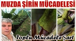 MUZ ÜRETİCİLERİ “ŞİRİN” İLE TOPLU MÜCADELE ETMELİ